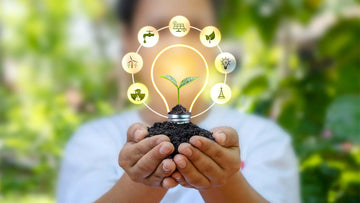 Easy Ways to Conserve Energy at Home - FENLO