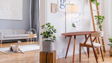 How to Optimize Your Desk - FENLO