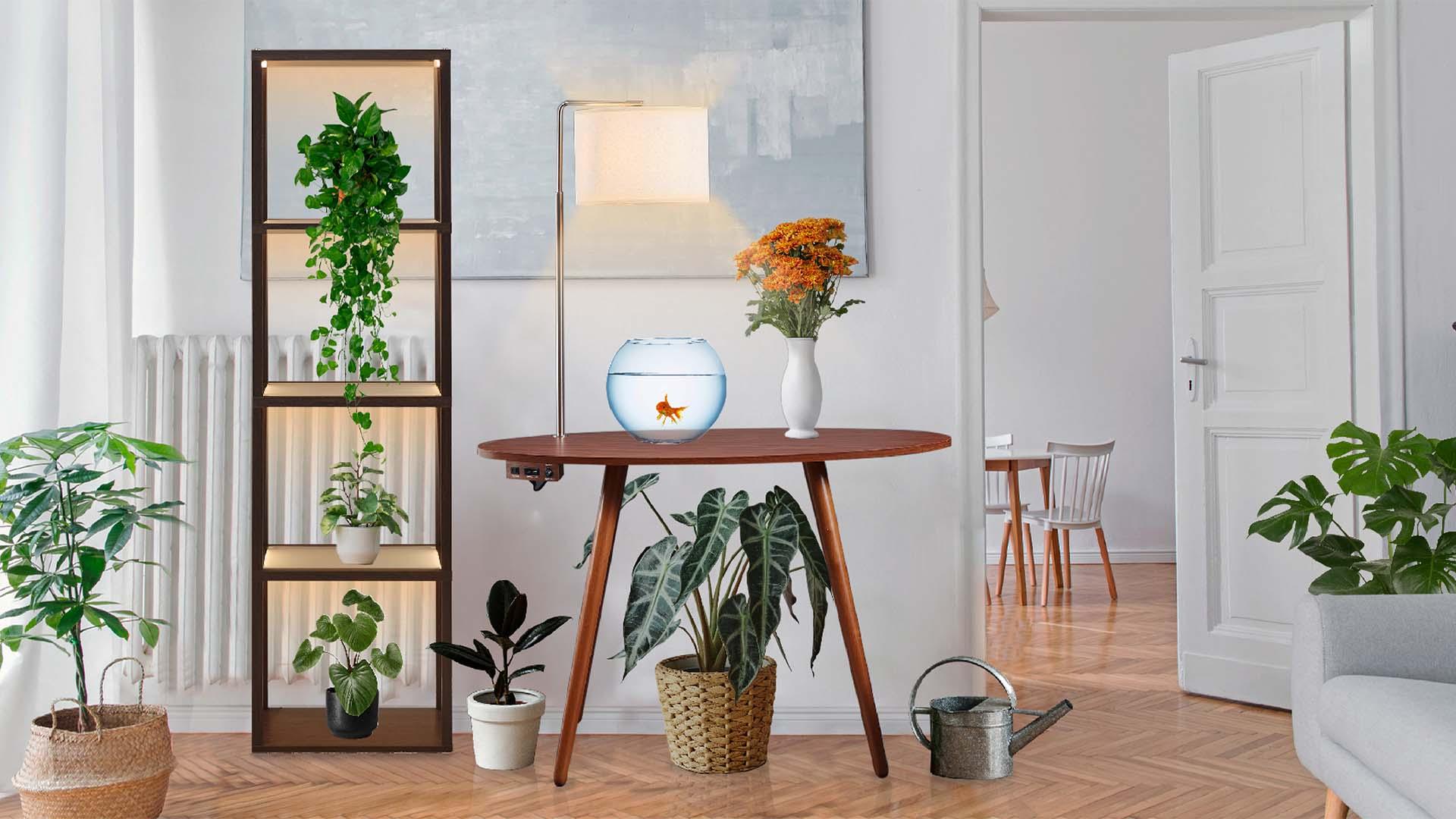 How to Pick the Perfect Smart Desk - FENLO