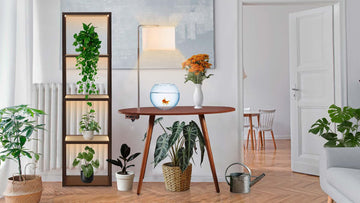 How to Pick the Perfect Smart Desk - FENLO
