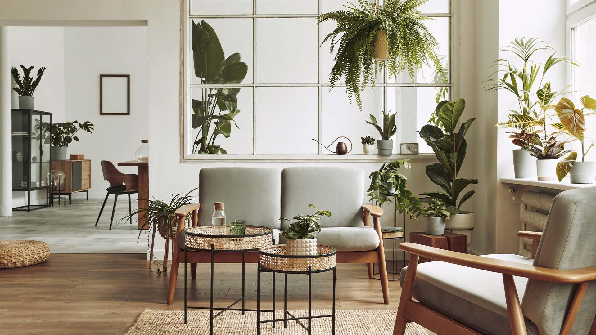 The Benefits of Using Sustainable Furniture: A Responsible and Stylish Choice - FENLO