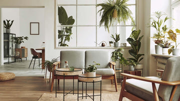 The Benefits of Using Sustainable Furniture: A Responsible and Stylish Choice - FENLO