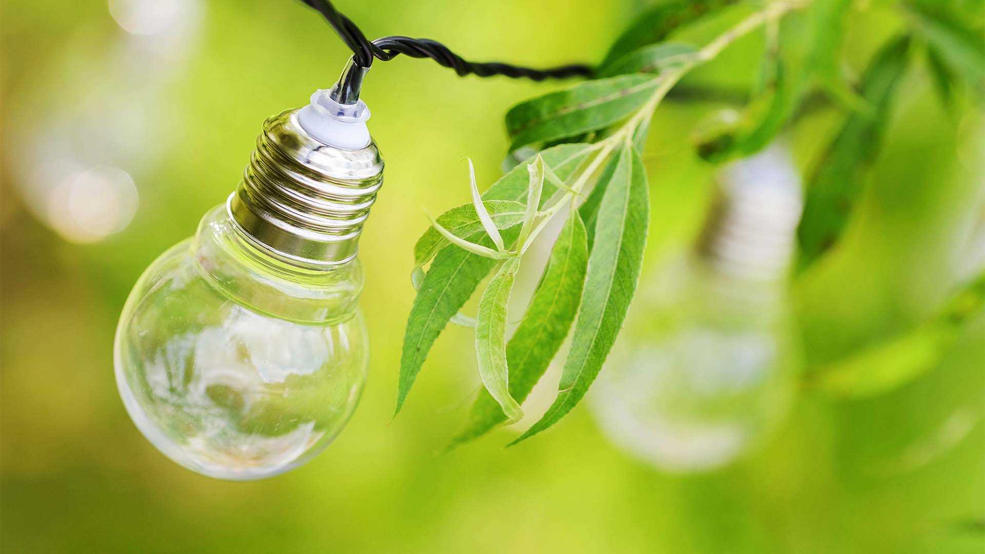 The environmental benefits of using LED lights for your holiday decorations - FENLO