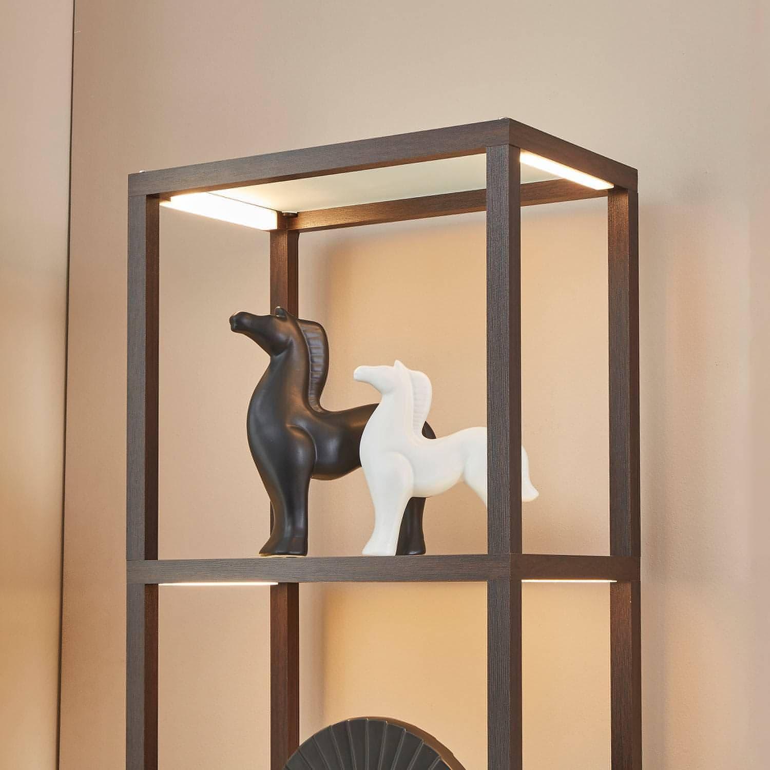 FENLO Fantasy Plus Glass Display Shelves with Dimmable LED Lights
