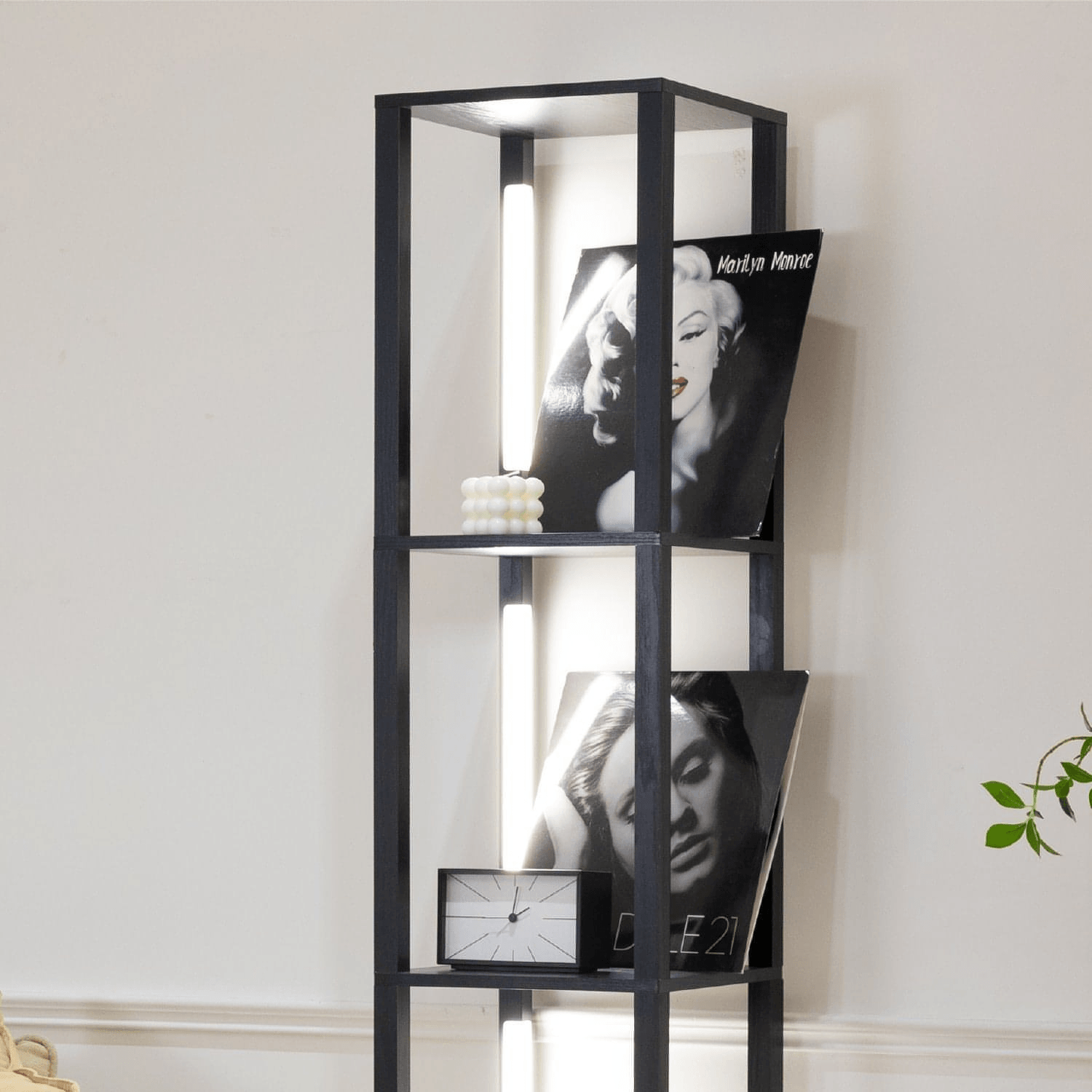 Full spectrum LED display shelf