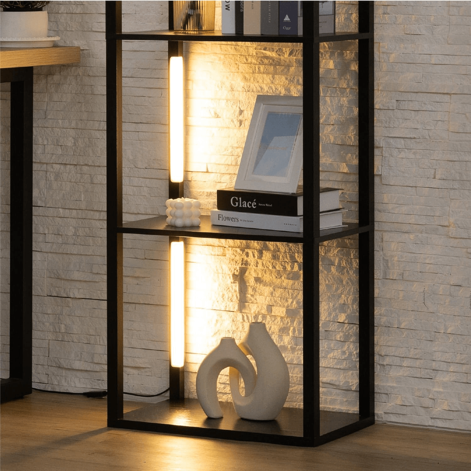 Bookshelf and Floor Lamp with LED