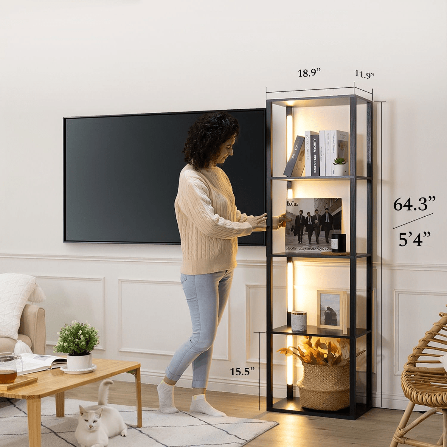 Livingroom Bookshelf with Light