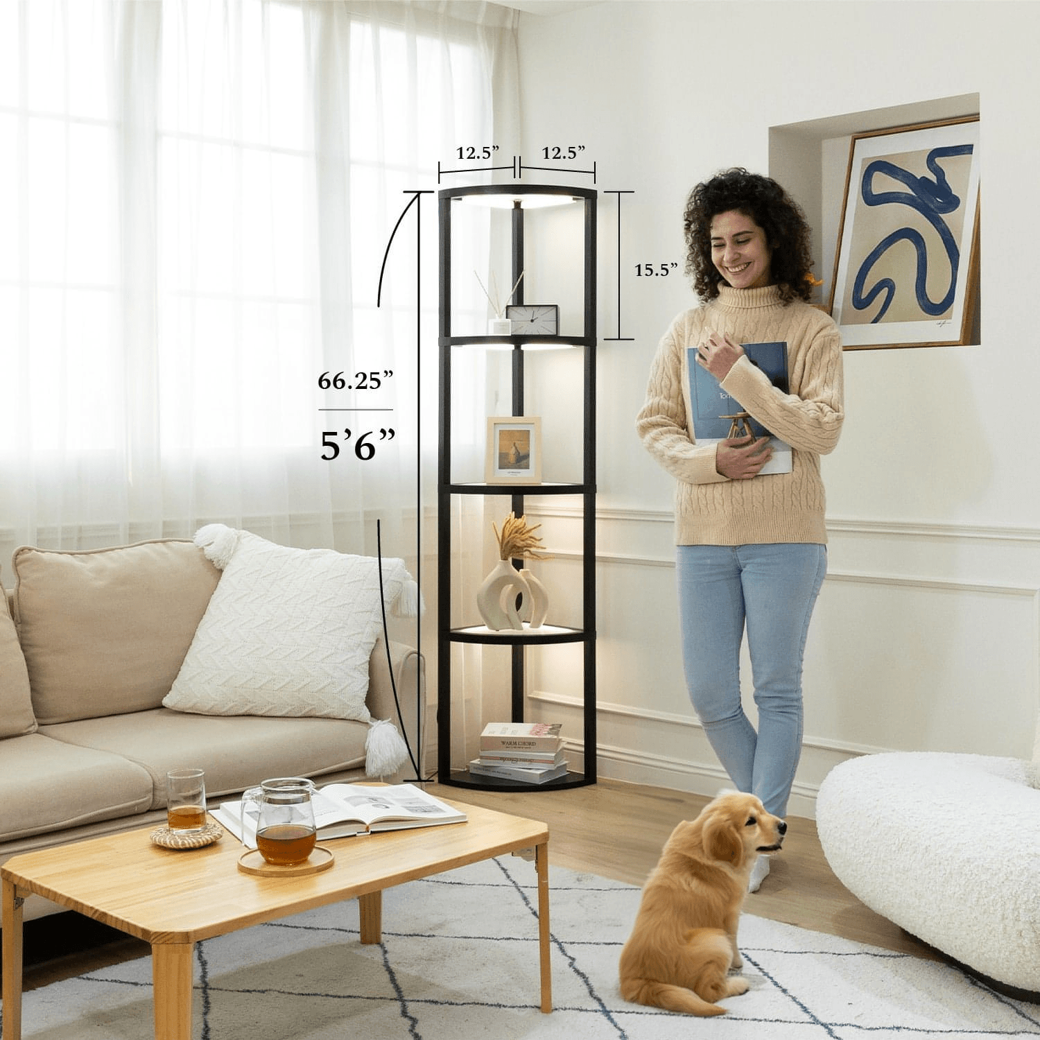 Glass shelf LED lighting for living room